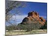 View to Bell Rock, Arizona, USA-Ruth Tomlinson-Mounted Premium Photographic Print