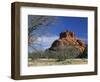 View to Bell Rock, Arizona, USA-Ruth Tomlinson-Framed Photographic Print