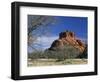 View to Bell Rock, Arizona, USA-Ruth Tomlinson-Framed Photographic Print