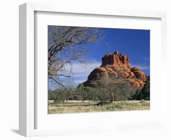 View to Bell Rock, Arizona, USA-Ruth Tomlinson-Framed Photographic Print