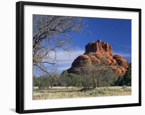 View to Bell Rock, Arizona, USA-Ruth Tomlinson-Framed Photographic Print