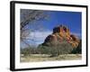 View to Bell Rock, Arizona, USA-Ruth Tomlinson-Framed Photographic Print