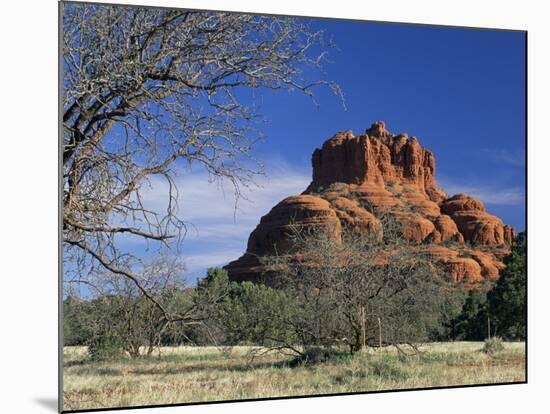 View to Bell Rock, Arizona, USA-Ruth Tomlinson-Mounted Photographic Print