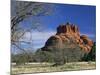 View to Bell Rock, Arizona, USA-Ruth Tomlinson-Mounted Photographic Print