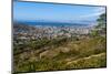 View to Capetown, South Africa-Catharina Lux-Mounted Photographic Print