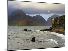 View to Cuillin Hills from Elgol Harbour, Isle of Skye, Inner Hebrides, Scotland, United Kingdom, E-Peter Richardson-Mounted Photographic Print