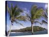 View to Devil's Island, Where Dreyfus and Papillon were Imprisoned, French Guiana, South America-Ken Gillham-Stretched Canvas
