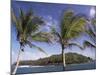 View to Devil's Island, Where Dreyfus and Papillon were Imprisoned, French Guiana, South America-Ken Gillham-Mounted Photographic Print