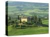 View to Farmhouse in Rolling Hills, Val D'Orcia, San Quirico D'Orcia, Tuscany, Italy, Europe-Tomlinson Ruth-Stretched Canvas