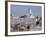 View to Market Square on Waterfront and Lutherian Cathedral, Helsinki, Finland, Scandinavia, Europe-Ken Gillham-Framed Photographic Print