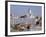 View to Market Square on Waterfront and Lutherian Cathedral, Helsinki, Finland, Scandinavia, Europe-Ken Gillham-Framed Photographic Print