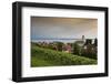 view to Meersburg with town church on the Lake of Constance, Baden-Wurttemberg, Germany-Michael Weber-Framed Photographic Print