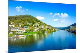 View to Old Town of Heidelberg, Germany-ilolab-Mounted Photographic Print