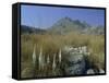 View to Puigmayor, the Highest Peak on the Island, Majorca (Mallorca), Balearic Islands, Spain-Ruth Tomlinson-Framed Stretched Canvas