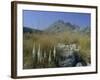 View to Puigmayor, the Highest Peak on the Island, Majorca (Mallorca), Balearic Islands, Spain-Ruth Tomlinson-Framed Photographic Print