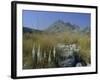 View to Puigmayor, the Highest Peak on the Island, Majorca (Mallorca), Balearic Islands, Spain-Ruth Tomlinson-Framed Photographic Print