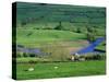 View to River at Reeth, Swaledale, Yorkshire Dales National Park, Yorkshire, England, UK, Europe-Jean Brooks-Stretched Canvas