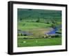 View to River at Reeth, Swaledale, Yorkshire Dales National Park, Yorkshire, England, UK, Europe-Jean Brooks-Framed Photographic Print