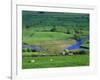 View to River at Reeth, Swaledale, Yorkshire Dales National Park, Yorkshire, England, UK, Europe-Jean Brooks-Framed Photographic Print
