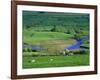 View to River at Reeth, Swaledale, Yorkshire Dales National Park, Yorkshire, England, UK, Europe-Jean Brooks-Framed Photographic Print