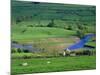 View to River at Reeth, Swaledale, Yorkshire Dales National Park, Yorkshire, England, UK, Europe-Jean Brooks-Mounted Photographic Print