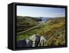 View to Sea and Beach from Coast Path Near Lower Solva, Pembrokeshire, Wales, United Kingdom-Lee Frost-Framed Stretched Canvas