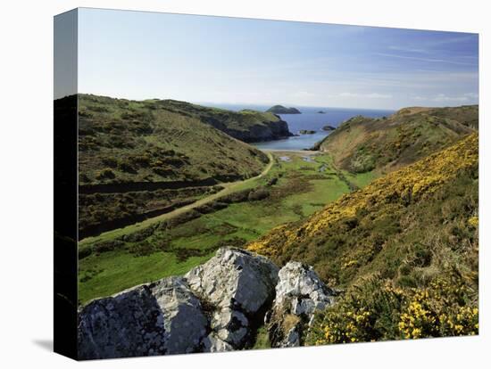 View to Sea and Beach from Coast Path Near Lower Solva, Pembrokeshire, Wales, United Kingdom-Lee Frost-Stretched Canvas