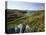 View to Sea and Beach from Coast Path Near Lower Solva, Pembrokeshire, Wales, United Kingdom-Lee Frost-Stretched Canvas