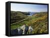 View to Sea and Beach from Coast Path Near Lower Solva, Pembrokeshire, Wales, United Kingdom-Lee Frost-Framed Stretched Canvas