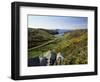 View to Sea and Beach from Coast Path Near Lower Solva, Pembrokeshire, Wales, United Kingdom-Lee Frost-Framed Photographic Print