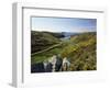 View to Sea and Beach from Coast Path Near Lower Solva, Pembrokeshire, Wales, United Kingdom-Lee Frost-Framed Photographic Print