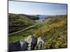 View to Sea and Beach from Coast Path Near Lower Solva, Pembrokeshire, Wales, United Kingdom-Lee Frost-Mounted Photographic Print