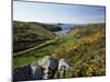 View to Sea and Beach from Coast Path Near Lower Solva, Pembrokeshire, Wales, United Kingdom-Lee Frost-Mounted Photographic Print