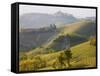 View to Serralunga D' Alba, Piedmont, Italy-Peter Adams-Framed Stretched Canvas