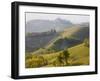 View to Serralunga D' Alba, Piedmont, Italy-Peter Adams-Framed Photographic Print