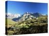 View to the Ober Gabelhorn, Sheep in Foreground, Zermatt, Valais, Switzerland-Ruth Tomlinson-Stretched Canvas