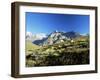 View to the Ober Gabelhorn, Sheep in Foreground, Zermatt, Valais, Switzerland-Ruth Tomlinson-Framed Photographic Print