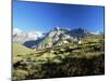 View to the Ober Gabelhorn, Sheep in Foreground, Zermatt, Valais, Switzerland-Ruth Tomlinson-Mounted Photographic Print