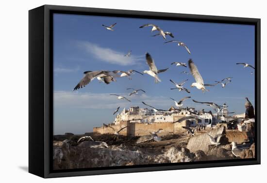 View to the Ramparts and Medina with Seagulls-Stuart Black-Framed Stretched Canvas