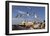 View to the Ramparts and Medina with Seagulls-Stuart Black-Framed Photographic Print