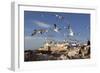 View to the Ramparts and Medina with Seagulls-Stuart Black-Framed Photographic Print