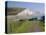 View to the Seven Sisters from Seaford Head, East Sussex, England, UK-Ruth Tomlinson-Stretched Canvas