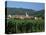 View to Village from Vineyards, Riquewihr, Haut-Rhin, Alsace, France-Ruth Tomlinson-Stretched Canvas