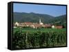 View to Village from Vineyards, Riquewihr, Haut-Rhin, Alsace, France-Ruth Tomlinson-Framed Stretched Canvas