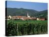 View to Village from Vineyards, Riquewihr, Haut-Rhin, Alsace, France-Ruth Tomlinson-Stretched Canvas