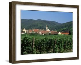 View to Village from Vineyards, Riquewihr, Haut-Rhin, Alsace, France-Ruth Tomlinson-Framed Photographic Print