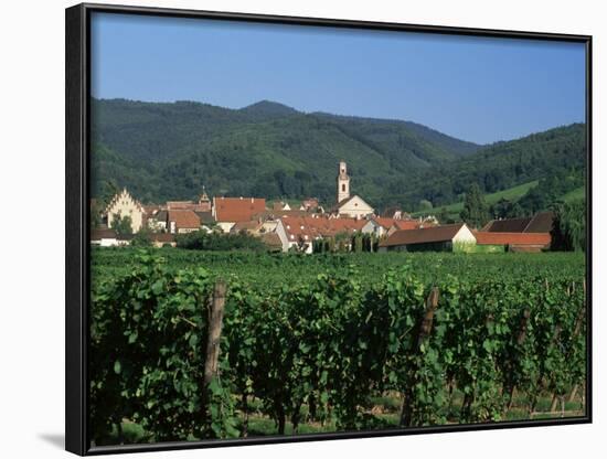 View to Village from Vineyards, Riquewihr, Haut-Rhin, Alsace, France-Ruth Tomlinson-Framed Photographic Print