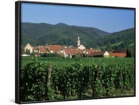 View to Village from Vineyards, Riquewihr, Haut-Rhin, Alsace, France-Ruth Tomlinson-Framed Photographic Print