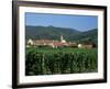 View to Village from Vineyards, Riquewihr, Haut-Rhin, Alsace, France-Ruth Tomlinson-Framed Photographic Print