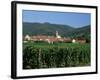 View to Village from Vineyards, Riquewihr, Haut-Rhin, Alsace, France-Ruth Tomlinson-Framed Photographic Print